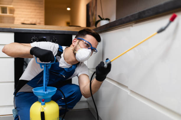 Best Flea Control Services  in Sparks, GA