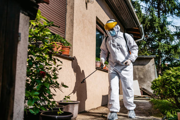 Reliable Sparks, GA Pest Control Solutions