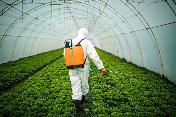 Best Best Pest Control Companies  in Sparks, GA