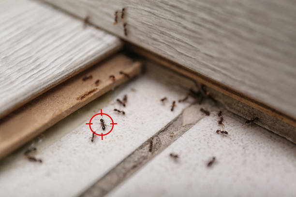 Best Exterminator Services  in Sparks, GA