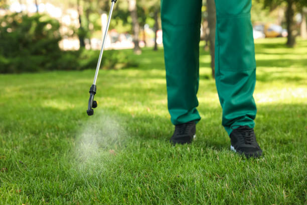 Insect Control in Sparks, GA