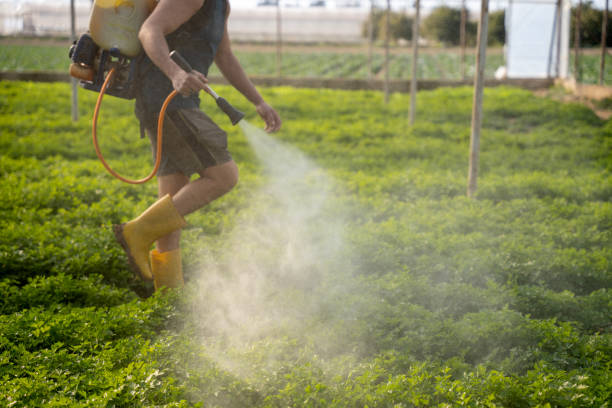 Best Local Pest Control Services  in Sparks, GA