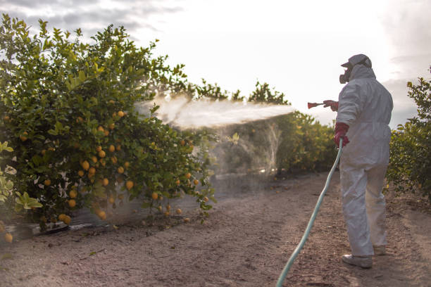 Best Termite Control Services  in Sparks, GA