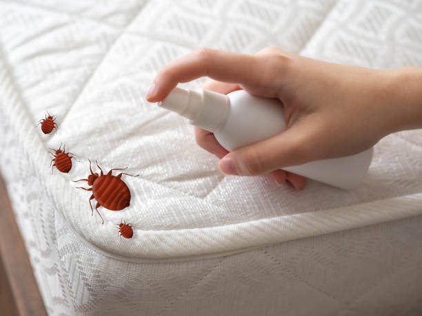 Best Best Pest Control Companies  in Sparks, GA