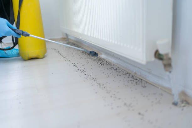 Pest Prevention Services in Sparks, GA
