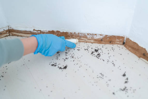 Best Termite Control Services  in Sparks, GA