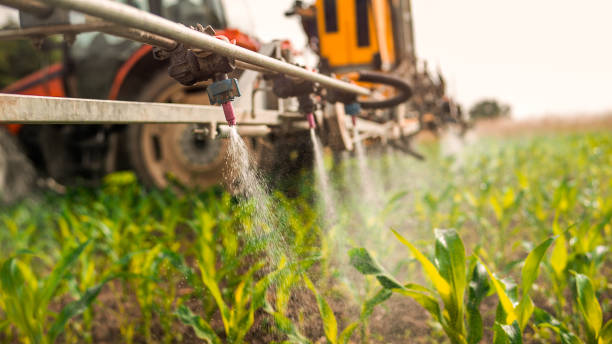 Best Commercial Pest Control Services  in Sparks, GA